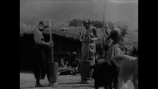 Link to Video | Paul Karl Lieberenz