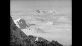 Link to Video | Paul Karl Lieberenz