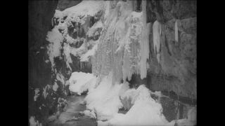 Link to Video | Paul Karl Lieberenz