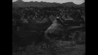 Link to Video | Paul Karl Lieberenz