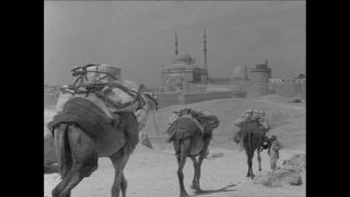 Link to Video | Paul Karl Lieberenz