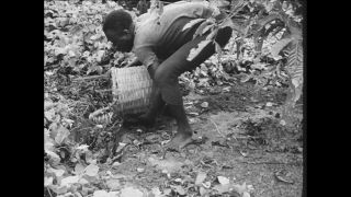 Link to Video | Paul Karl Lieberenz