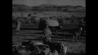 Link to Video | Paul Karl Lieberenz