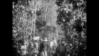 Link to Video | Paul Karl Lieberenz
