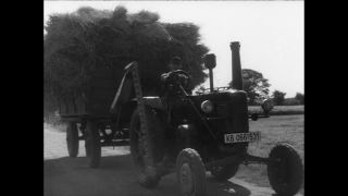 Link to Video | Paul Karl Lieberenz