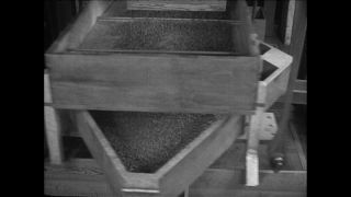 Link to Video | Paul Karl Lieberenz