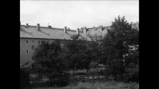 Link to Video | Paul Karl Lieberenz