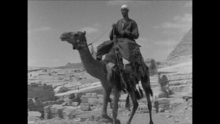 Link to Video | Paul Karl Lieberenz