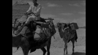 Link to Video | Paul Karl Lieberenz