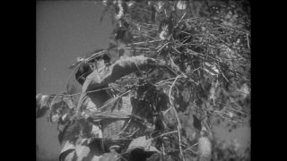 Link to Video | Paul Karl Lieberenz