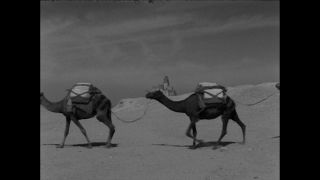 Link to Video | Paul Karl Lieberenz