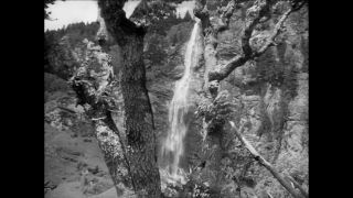 Link to Video | Paul Karl Lieberenz