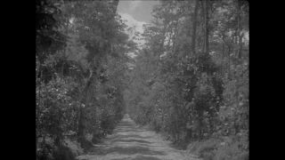 Link to Video | Paul Karl Lieberenz