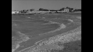 Link to Video | Paul Karl Lieberenz