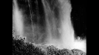 Link to Video | Paul Karl Lieberenz