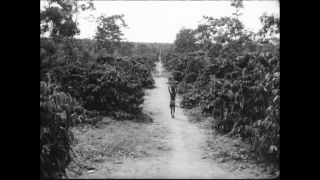 Link to Video | Paul Karl Lieberenz