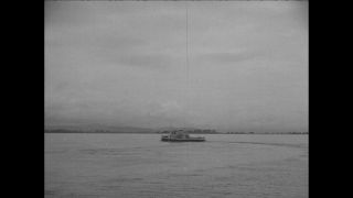 Link to Video | Paul Karl Lieberenz