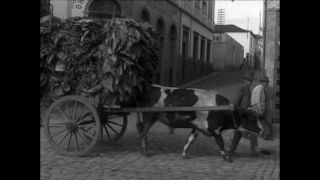 Link to Video | Paul Karl Lieberenz