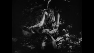 Link to Video | Paul Karl Lieberenz