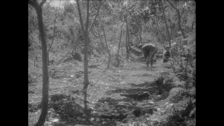 Link to Video | Paul Karl Lieberenz