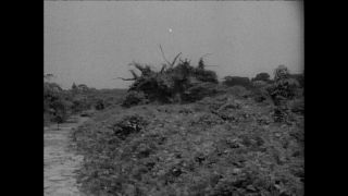 Link to Video | Paul Karl Lieberenz