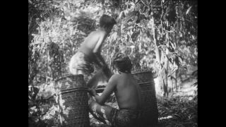 Link to Video | Paul Karl Lieberenz