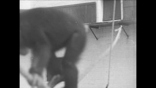 Link to Video | Paul Karl Lieberenz