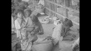 Link to Video | Paul Karl Lieberenz