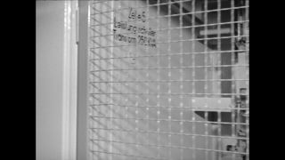 Link to Video | Paul Karl Lieberenz