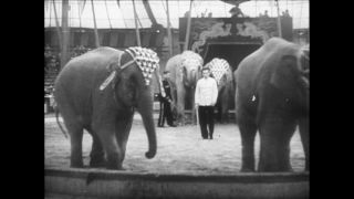 Link to Video | Paul Karl Lieberenz, Sarrasani