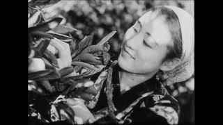 Link to Video | Paul Karl Lieberenz