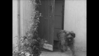 Link to Video | Paul Karl Lieberenz