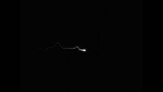 Link to Video | Paul Karl Lieberenz