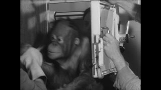 Link to Video | Paul Karl Lieberenz