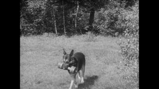 Link to Video | Paul Karl Lieberenz