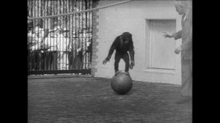 Link to Video | Paul Karl Lieberenz