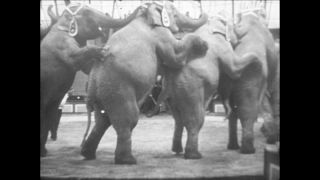 Link to Video | Paul Karl Lieberenz, Sarrasani