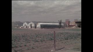 Link to Video | Paul Karl Lieberenz