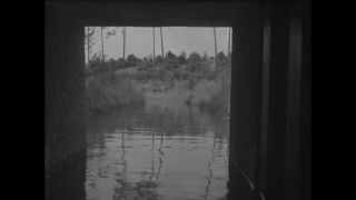 Link to Video | Paul Karl Lieberenz