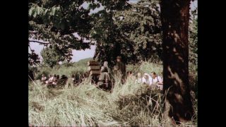 Link to Video | Paul Karl Lieberenz