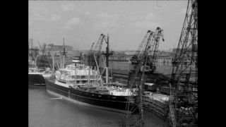 Link to Video | Paul Karl Lieberenz