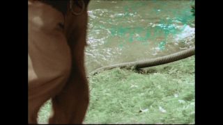 Link to Video | Paul Karl Lieberenz