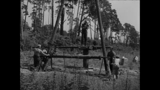 Link to Video | Paul Karl Lieberenz