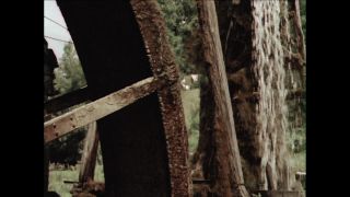 Link to Video | Paul Karl Lieberenz