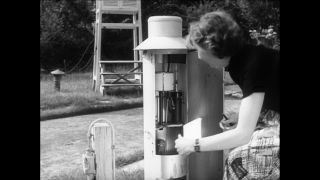 Link to Video | Paul Karl Lieberenz