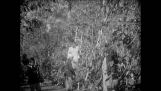 Link to Video | Paul Karl Lieberenz