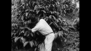 Link to Video | Paul Karl Lieberenz