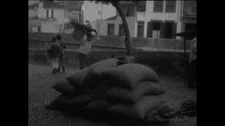 Link to Video | Paul Karl Lieberenz