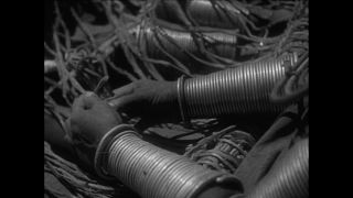 Link to Video | Paul Karl Lieberenz