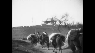 Link to Video | Paul Karl Lieberenz